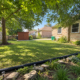 13 Main 139 Dumble Avenue Backyard